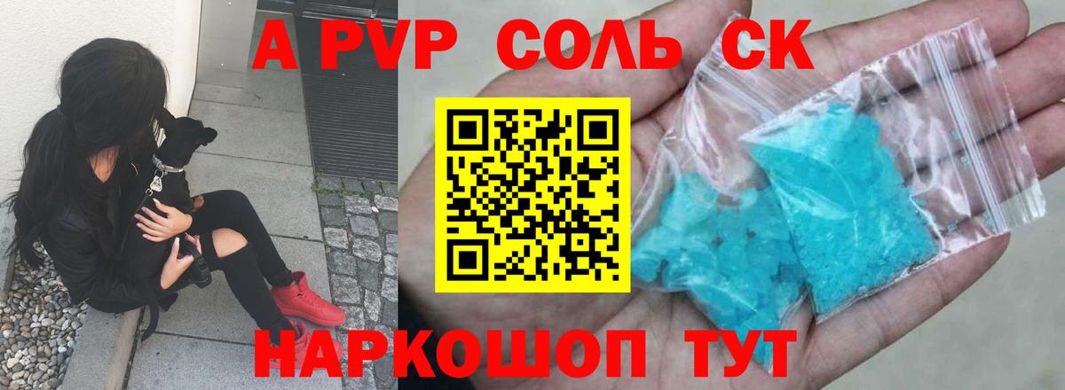 A PVP СК КРИС Энгельс