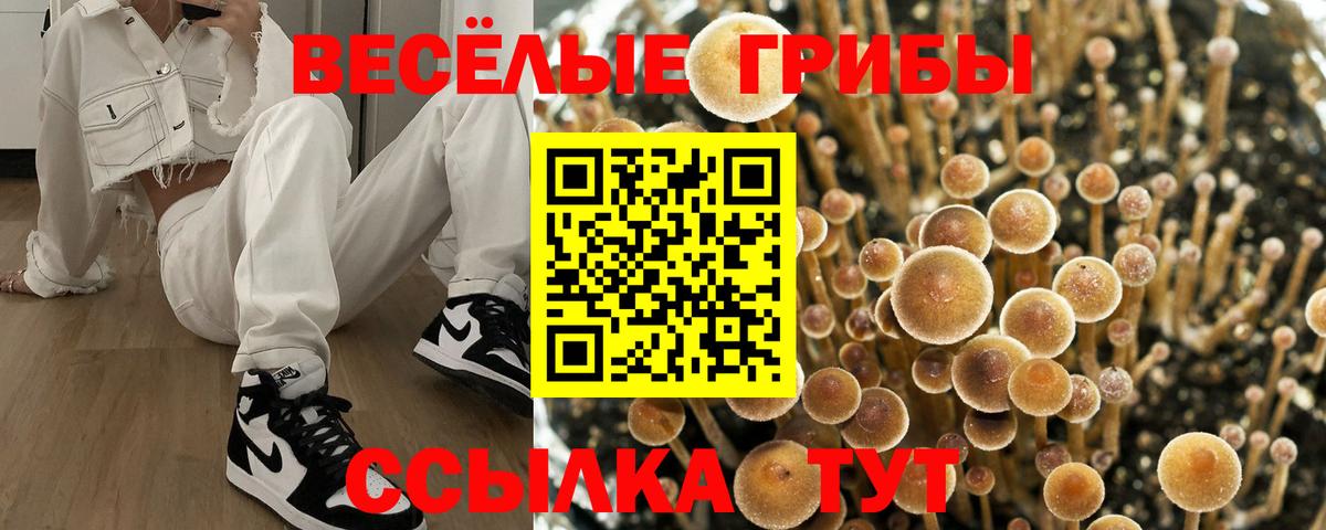 Галлюциногенные грибы MAGIC MUSHROOMS Энгельс